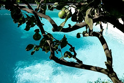 Villa in Vence mit Schwimmbecken