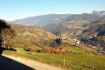 Finggeneislerhof