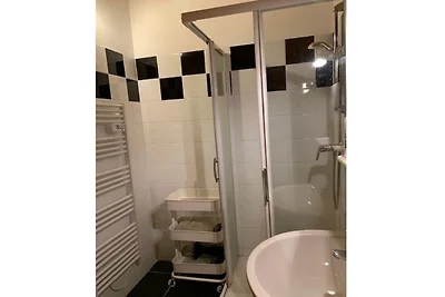 Ruim apartement met balkon in Franse Alpen