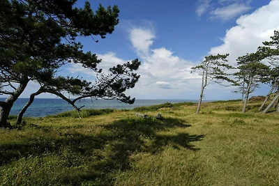 6 Personen Ferienhaus in Gilleleje-By Traum