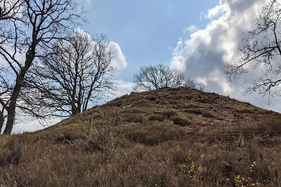 8 Personen Ferienhaus in Gjern-By Traum
