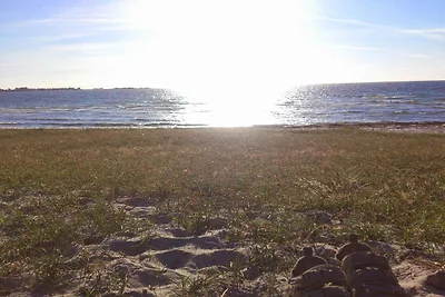 6 Personen Ferienhaus in Eskebjerg-By Traum