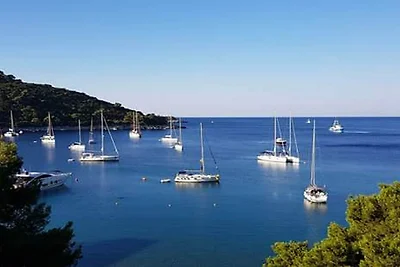 Apartments Franka Saplunara-Triple Room with ...