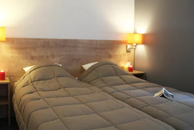 Beautiful family apartment in Amboise