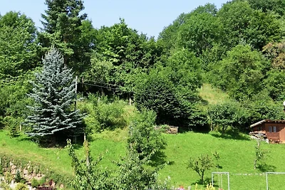 Casa vacanze nella Selva di Turingia