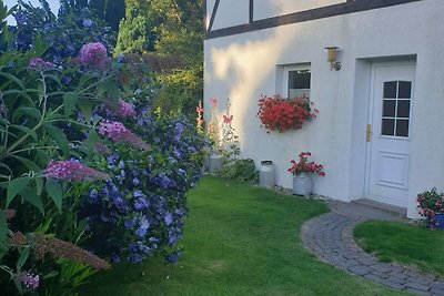 Modernes Ferienhaus mit Garten in Kägsdorf