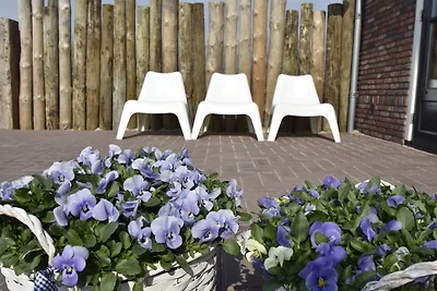 Studio Hazenborgh in Callantsoog in...