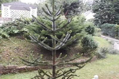 1 Norit Schlosser Komfortable Ferienresidenz