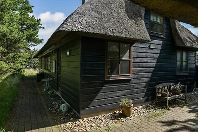 4 Sterne Ferienhaus in Blåvand