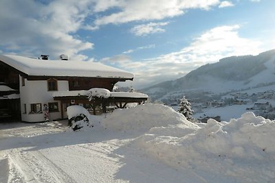 Vakantieappartement in Wildschönau-Niederau m...