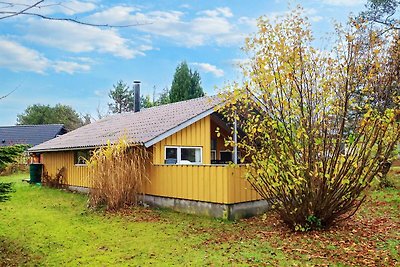 6 Personen Ferienhaus in Idestrup-By Traum