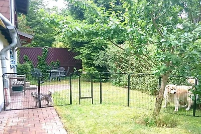 Wolf mit Kaminofen