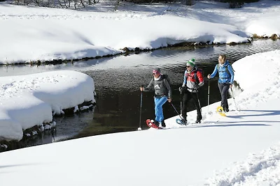 Superior-Chalet in der Nähe der Skipiste