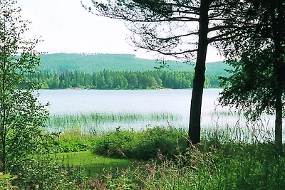6 Personen Ferienhaus in TORSBY-By Traum