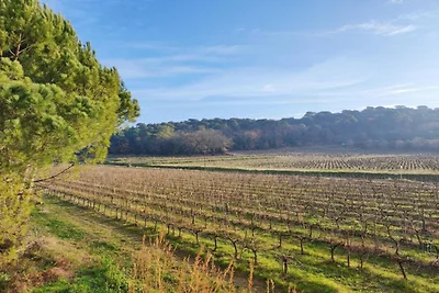 Maisonnette in Provençaalse stijl met zwembad
