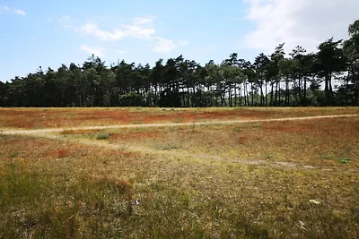 4 Sterne Ferienhaus in Væggerløse-By Traum