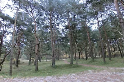 Dünenresi Lindenweg