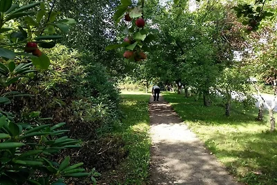 5 Personen Ferienhaus in Sæby-By Traum