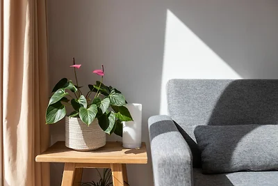 Wohnung in Torremolinos nahe Carihuela Strand