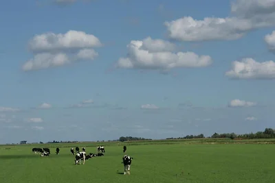 Schuurverblijf met Ziel in Noordgouwe