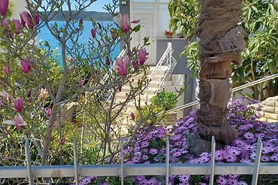 Two-bedroom Apartment With Sea View (A1)