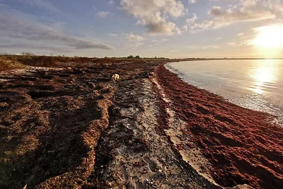 6 Personen Ferienhaus in Dannemare-By Traum