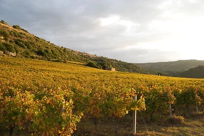 Omgeving (zomer) (1-5 km) Omgeving (zomer) (1-5 km)