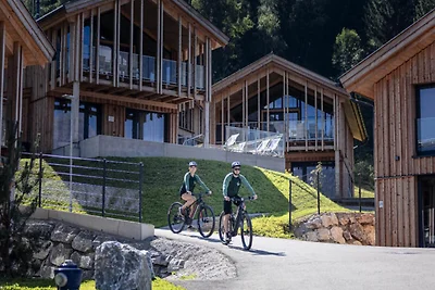 Superior Ferienwohnung mit Galerie, Sauna &...