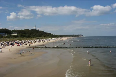 Ferienwohnung mit 2 Schlafzimmer