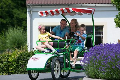 Vrijstaande villa bij Bad Bentheim met een...