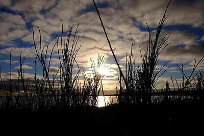 4 Sterne Ferienhaus in Ebeltoft