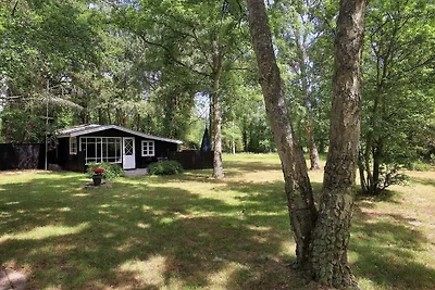 4 Personen Ferienhaus in Rødby-By Traum