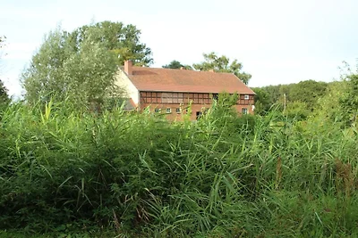 Vakantiehuis met 2 slaapkamers