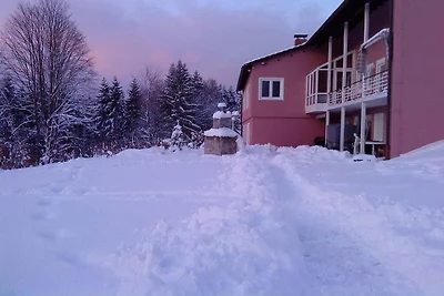 Ferienhaus in Grafenau mit Schwimmbecken