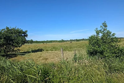 24 Personen Ferienhaus in Blåvand