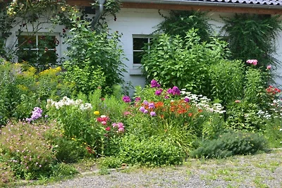Ferienwohnung in Aachen mit Wifi