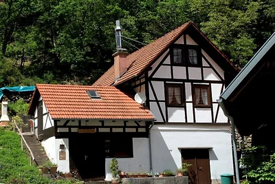 Kuća za odmor Dopust za oporavak Reichenbach
