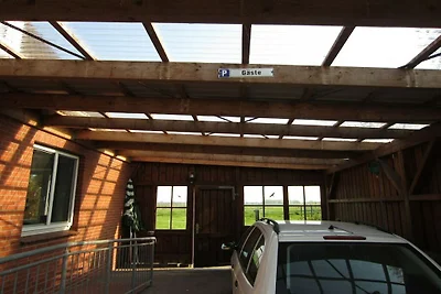 Ferienhaus in Balje mit Wifi