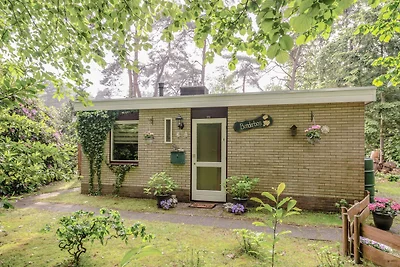 Ferienhaus in Waldnהhe in Ommen mit Pool