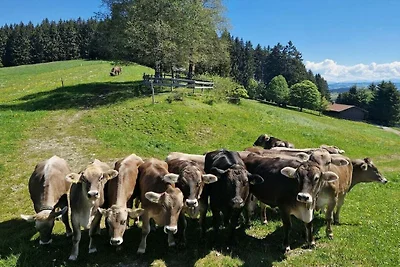 Ferienhaus in Weitnau mit Schwimmbecken