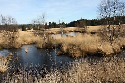 Rustiek chalet in Sourbrodt op Les Hautes nab...