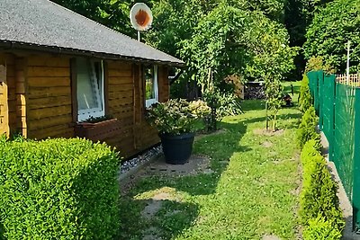 Schöner Bungalow am Salzhaff mit Garten