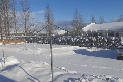 Casa a schiera, Akureyri