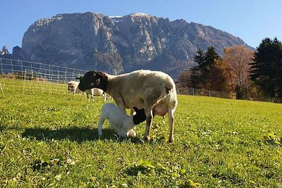 Staudnerhof Residenza di vacanza confortevole