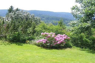 Sattler House, rookvrij