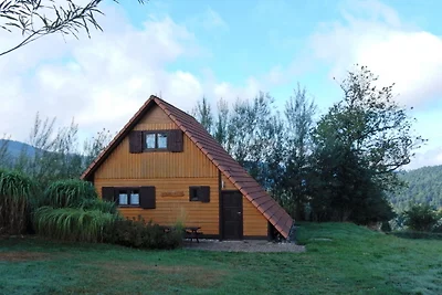 Wunderschönes Chalet mit Terrasse in Dabo