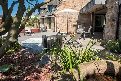 Goldener Ginster · Ploumanach Außergewöhnlich