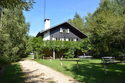 Lujoso chalet apto para mascotas en Bièvre, c...