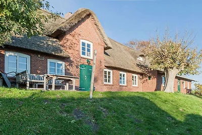 Rietgedekt huis Sünsbarg