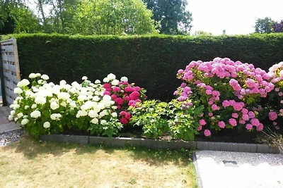 Huijsmansverhuur Type A de Luxe Grevelingen...
